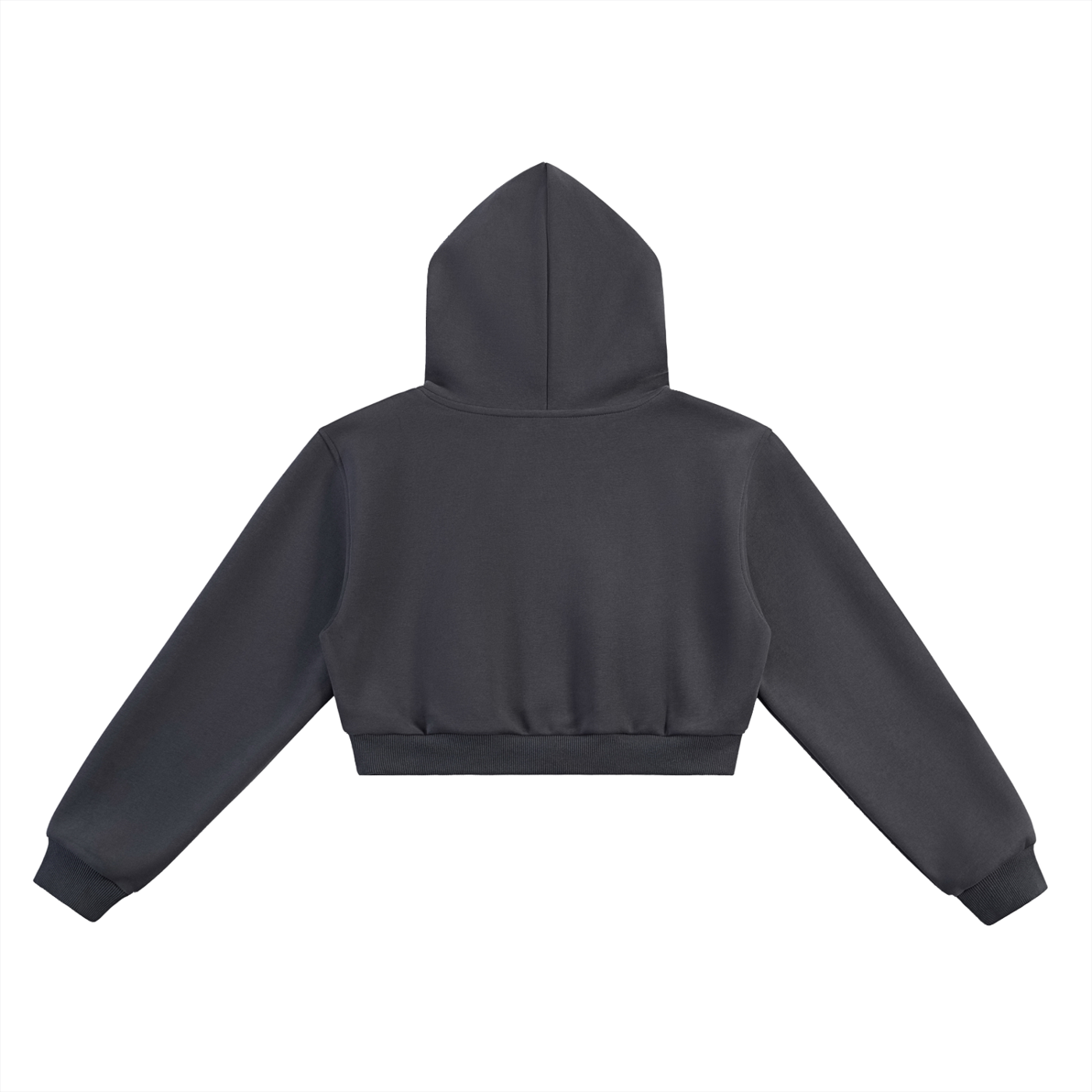 Alternate Logo Essential Cropped Hoodie
