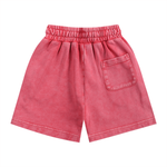 Load image into Gallery viewer, TruthorTruth Snow Washed Kids&#39; Shorts

