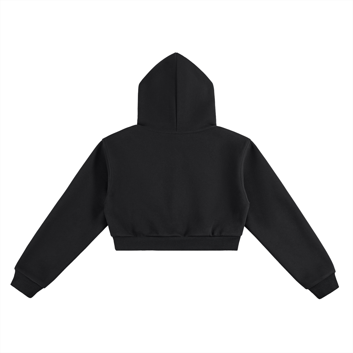 Alternate Logo Essential Cropped Hoodie